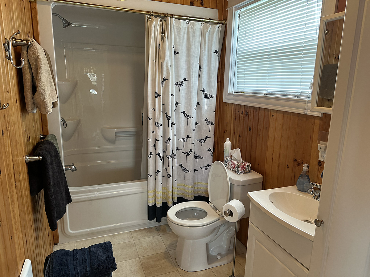 The bathoom features a full-size shower and bathtub.
